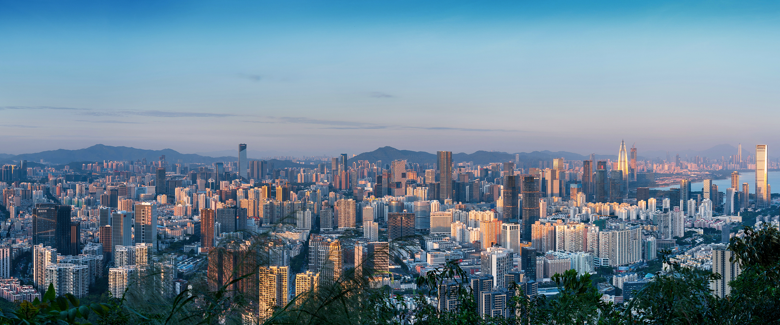 KY.COM-开云(中国)电池